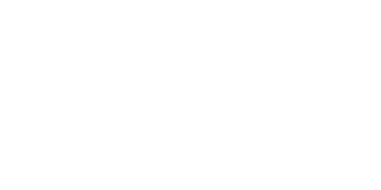 The Baltic Times